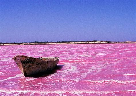 The Lake Retba’s waters are virtually devoid of life and are on the ...