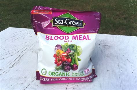 Blood Meal: What It Is and When to Add It to Soil