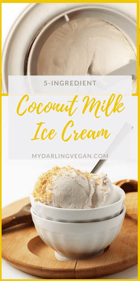 5-Ingredient Coconut Milk Ice Cream - My Darling Vegan