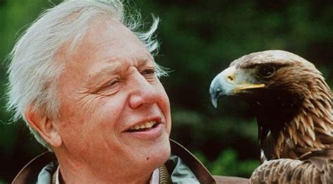 REVIEW: Sir David Attenborough documentary 'A Life On Our Planet ...