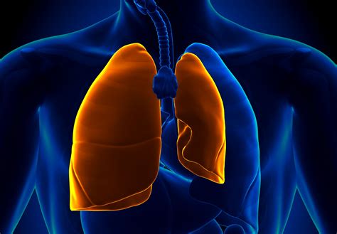 Pneumothorax Lung Sounds