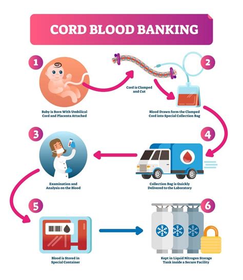 Best Benefits of Donating Cord Blood- 8 Things to Consider!