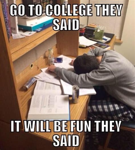 Very Funny Studying Memes University Memes Student Memes | Images and ...