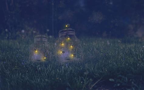 Fireflies, fantasy, firefly, jar, night, grass, HD wallpaper | Peakpx