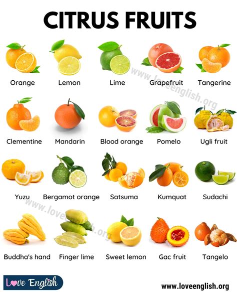 30+ Delicious Citrus Fruits You've Got to Try - Love English