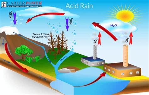 Acid Rain Formation Diagram