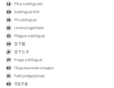 Sublingual fold - vet-Anatomy - IMAIOS