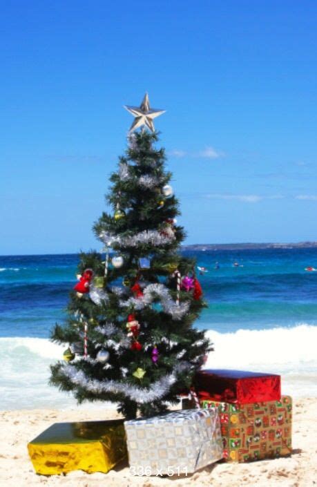 Christmas on the beach | Beach christmas, Caribbean christmas ...