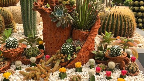 Cactus garden ideas: 12 ways to welcome these prickly plants into your ...