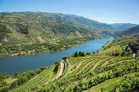 Douro Valley Tour - Wine Tasting, Lunch & River Cruise | GetYourGuide