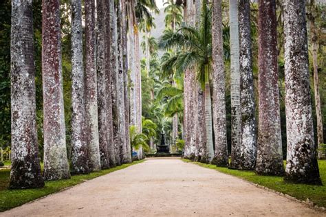 Jardim Botânico – Rio de Janeiro – Você Viajando — A Sua Revista de ...