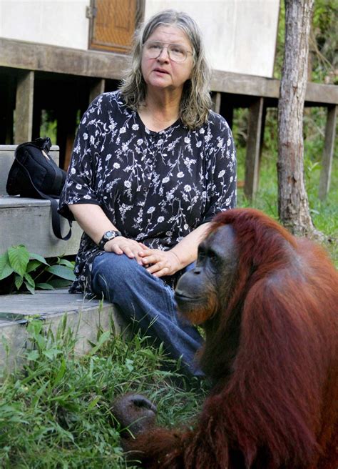 Birute Galdikas | Life, Education, Orangutan Research, Books ...