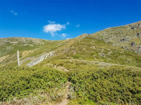 An Overnight Hike Up Victoria's Highest Mountain, Mount Bogong ...