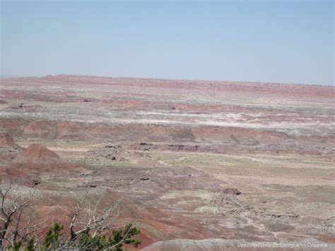 Petrified Forest, Painted Desert | Destinations Detours and Dreams