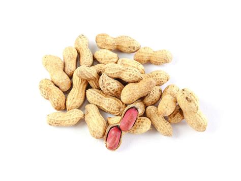 Organic Peanut Bulk Manufacturer & Supplier - ORGANICWAY