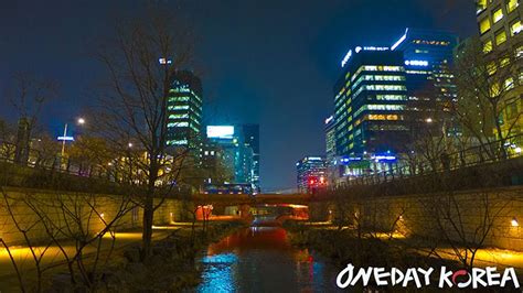 Korea Food Tour Experience | Night Food Tour | Oneday Korea