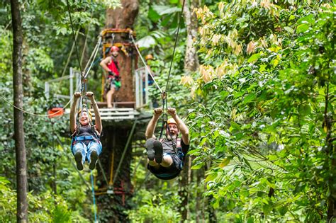 Cape Tribulation Tours & Daintree Tours - Jungle Tours