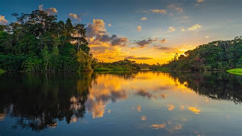 Sunset in the Amazon River Rainforest Basin, Yasuni National Park ...