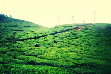 The mesmerising beauty of Wayanad Hills. by Anuraj on YouPic