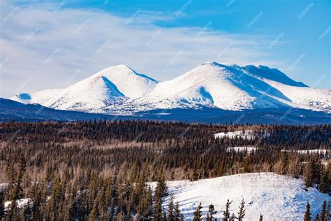 Premium Photo | Snowy winter mountain landscape yukon yt canada