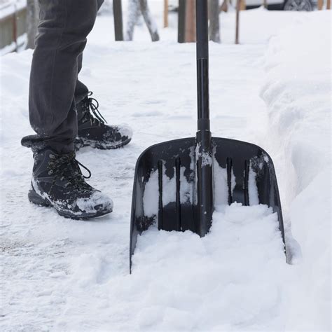 6 Best Snow Shovel Options of 2024, According to Experts