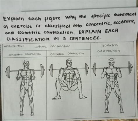 Solved PUSH UP are controchon Isotonic contraction Eccentric | Chegg.com