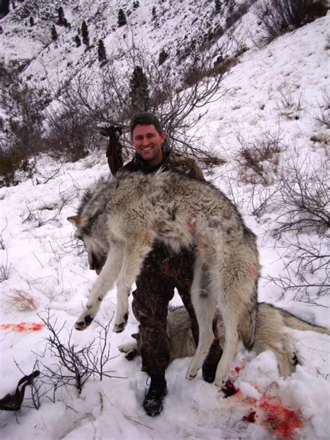 Outdoors International Podcast: How to Hunt Wolves with Brent Martell ...