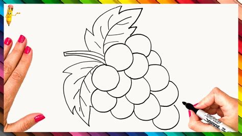 How To Draw Grapes Step By Step Grapes Drawing Easy