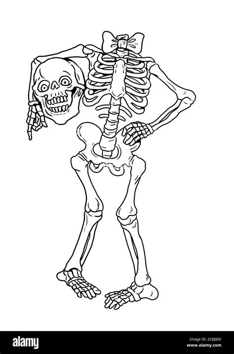 Funny human skeleton. Halloween drawing. Coloring template Stock Photo ...