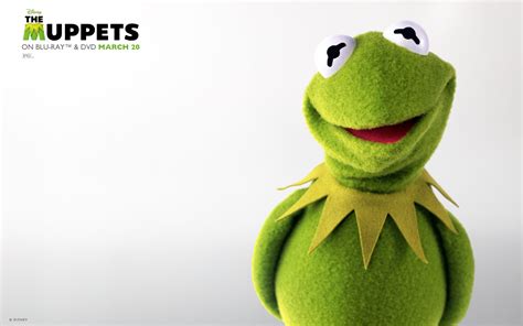 Kermit Wallpaper Meme - Cute Cartoon Characters Funny Aesthetic Profile ...