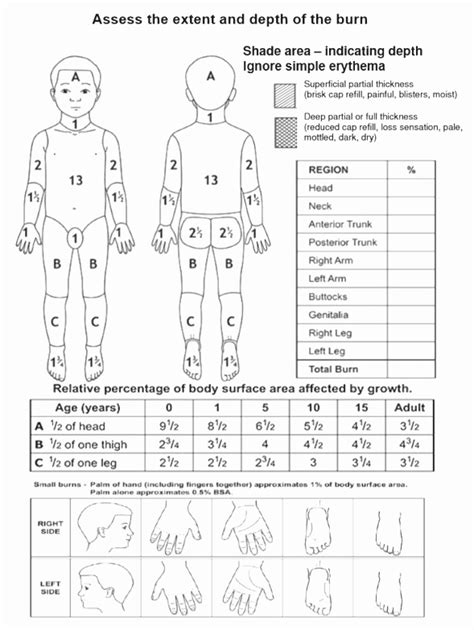 Burn Assessment Chart