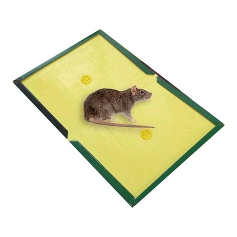 Rat mice Traps Sticky Boards, Strongly Adhesive,mouse 素敵な