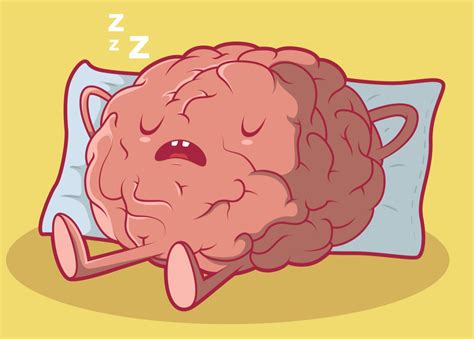 As You Snooze, Your Brain Reviews