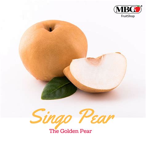 Singo Pear, The Golden Pear – MBG Fruit Shop