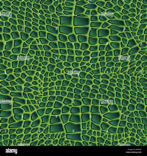 Green Crocodile Skin Background