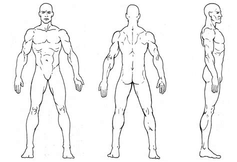 Man Character Reference Sheet, Character Model Sheet, Anatomy Reference ...