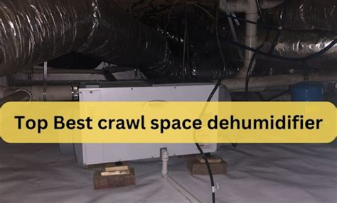 Top Best crawl space dehumidifier - MyHomeComplex