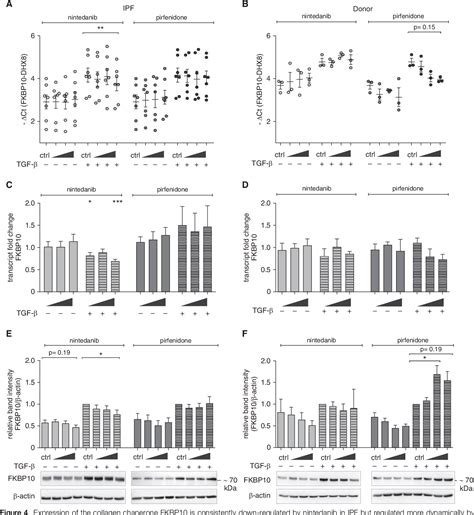 Figure 2 from A Novel Antifibrotic Mechanism of Nintedanib and ...