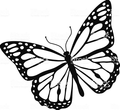 A vector illustration of a monarch butterfly in black and white. An ...