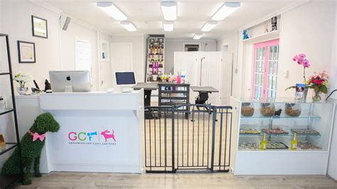 Groomington Coat Factory – Mobile & Salon Dog Grooming