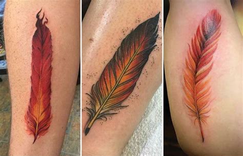 Feather Tattoo: Meaning, Types, Designs, Ideas & Inspiration!