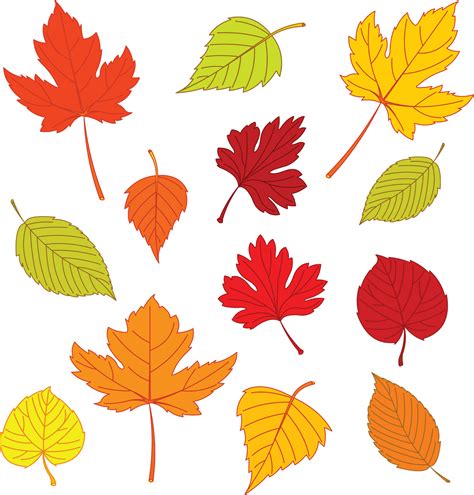 Leaf Drawing Template at GetDrawings | Free download