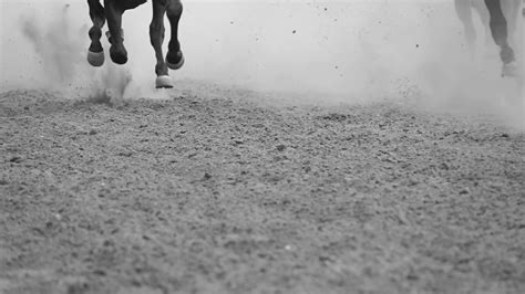 Legs Of Horses Galloping Slow Motion Stock Footage SBV-326906093 ...