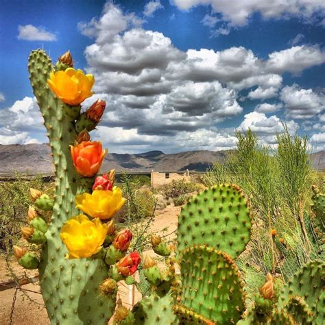 Arizona beauty! Shared from FOX 10... - Jim's Trading Post | Arizona ...