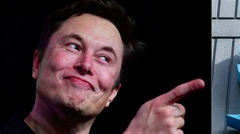 Elon Musk takes a dig at Apple Vision Pro, shares a meme mocking its ...