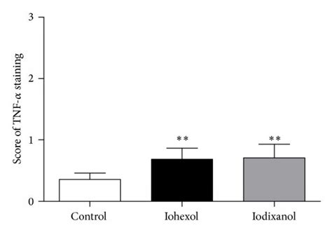 Iohexol and iodixanol resulted in similarly marked increases in ...