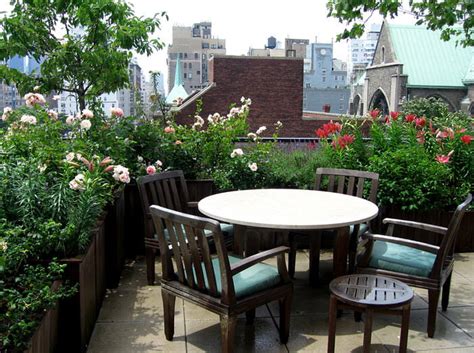 Best Terrace/Roof Garden Plants You should Grow