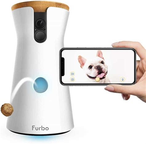 Furbo Dog Camera Review - #1 Gorgeous Interactive Pet Camera