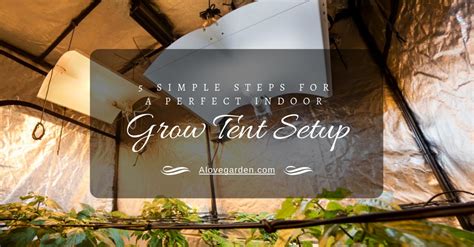 5 Simple Steps For A Perfect Indoor Grow Tent Setup - Alovegarden.com