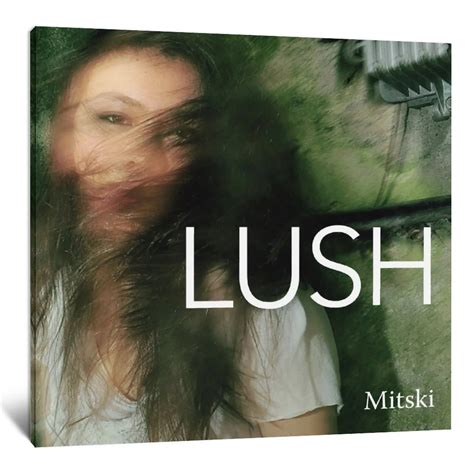 Mitski Lush Music Album Cover Canvas Art Poster And Wall Art Picture ...